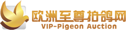 vippa logo small