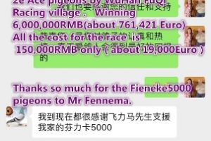 Best result of my Fieneke 5000 in the Biggest Racing village Wuhan - China